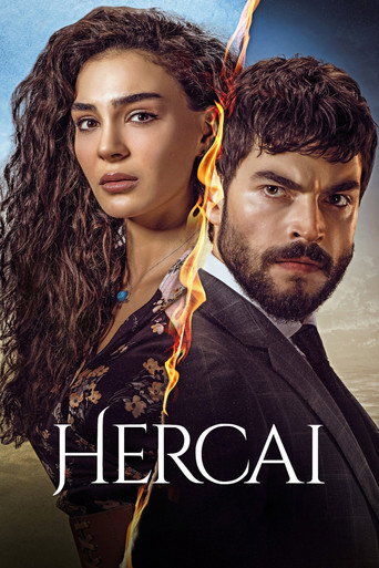 Ветреный (2019) — постер