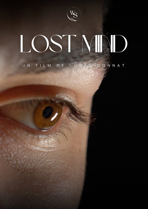 Lost Mind — постер