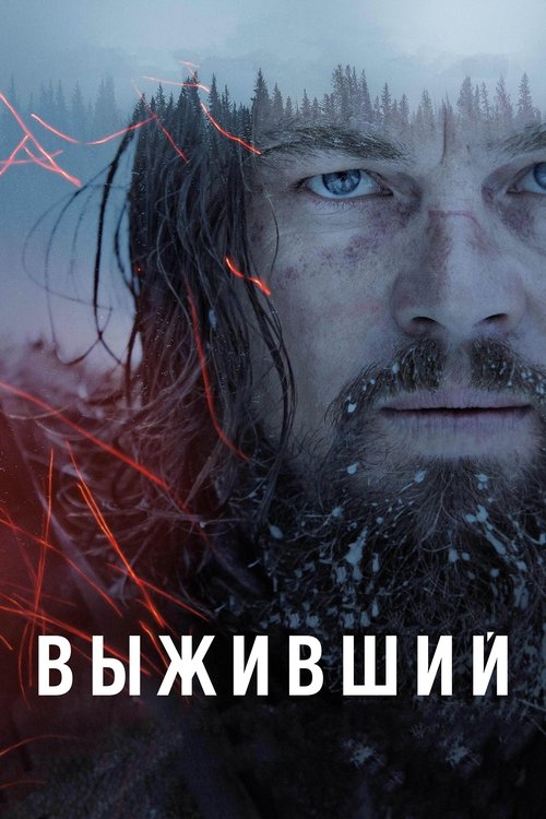 Выживший (2015) — постер