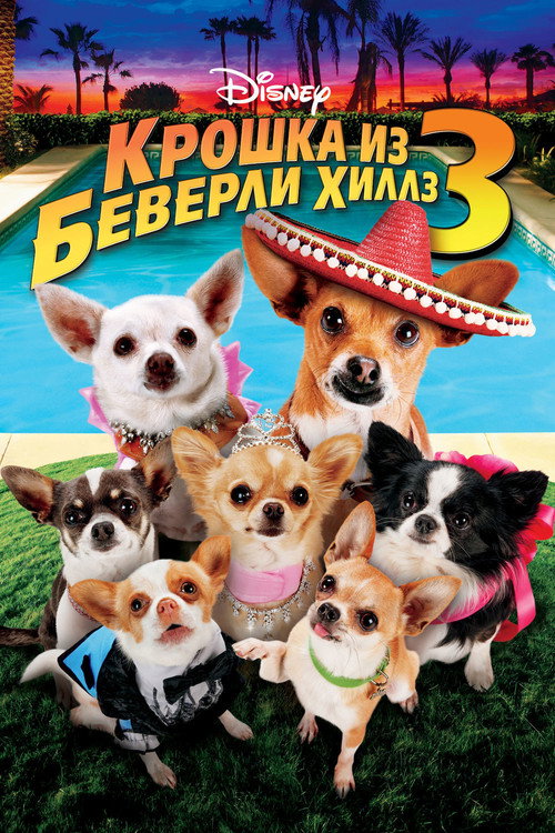 Крошка из Беверли-Хиллз 3 (2012) — постер